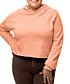 Women's Cropped Hoodie 